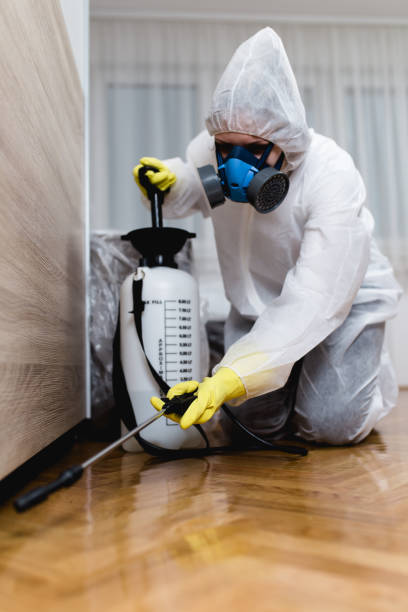 Emergency Pest Control Services in Maplewood, WA